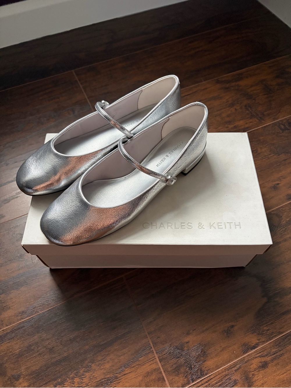 Charles & Keith Silver Mary Jane Shoes